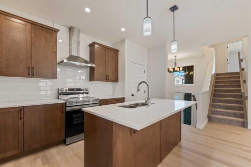 90 Homestead Circle Ne, Calgary, AB - Indoor Photo Showing Kitchen With Double Sink