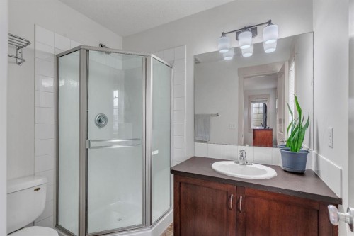 301 Skyview Ranch Drive Ne, Calgary, AB - Indoor Photo Showing Bathroom