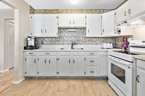 323 Woodvale Crescent Sw, Calgary, AB - Indoor Photo Showing Kitchen With Double Sink