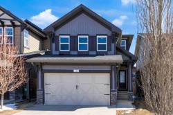 236 Paint Horse Drive Cochrane, AB T4C 0X1