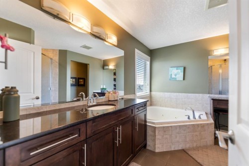 130 Brightonwoods Grove Se, Calgary, AB - Indoor Photo Showing Bathroom