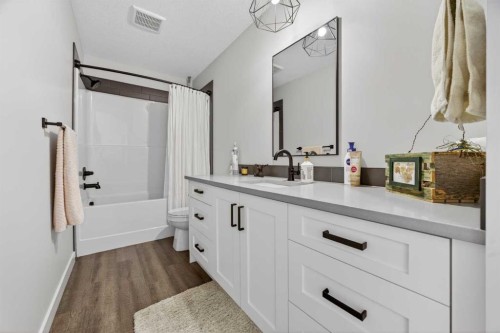 10 Bishop Circle, Carstairs, AB - Indoor Photo Showing Bathroom