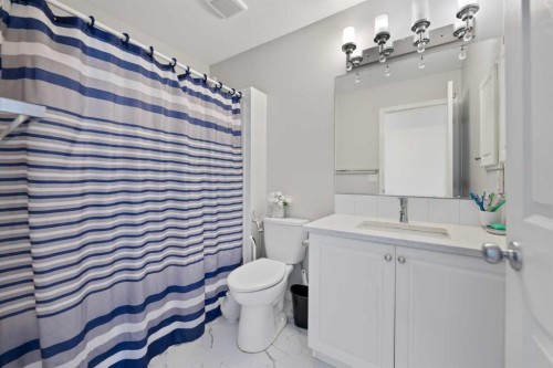 248 Taracove Road Ne, Calgary, AB - Indoor Photo Showing Bathroom