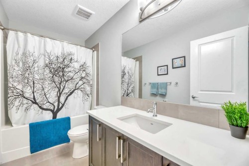 9 Mist Mountain Rise, Okotoks, AB - Indoor Photo Showing Bathroom