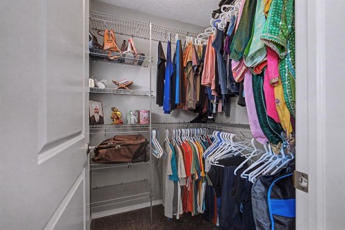 186 Cornerstone Avenue Ne, Calgary, AB - Indoor With Storage