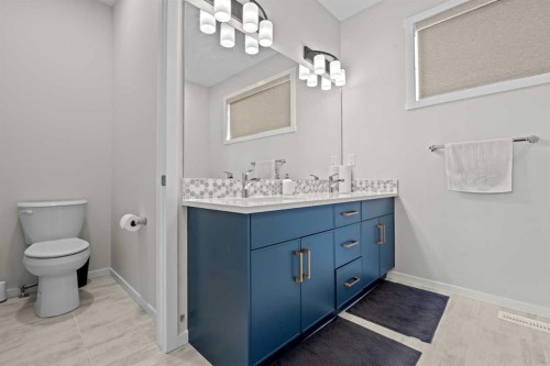 12 Southwinds Common Sw, Airdrie, AB - Indoor Photo Showing Bathroom