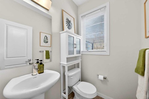 8 Walden Walk Se, Calgary, AB - Indoor Photo Showing Bathroom