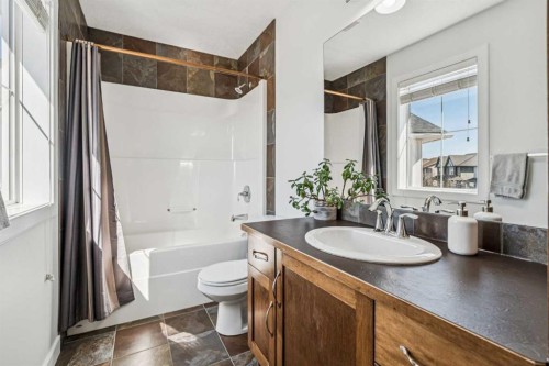 54 Elgin Meadows Green Se, Calgary, AB - Indoor Photo Showing Bathroom