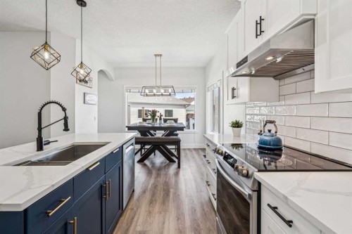 54 Elgin Meadows Green Se, Calgary, AB - Indoor Photo Showing Kitchen With Upgraded Kitchen