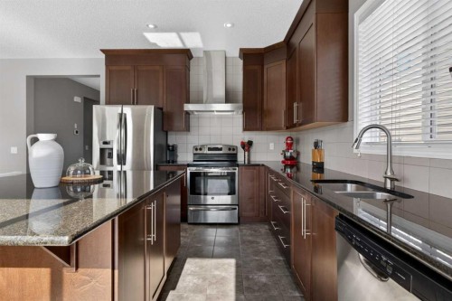 333 Viewpointe Terrace, Chestermere, AB - Indoor Photo Showing Kitchen With Stainless Steel Kitchen With Double Sink With Upgraded Kitchen