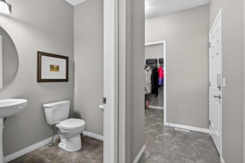 333 Viewpointe Terrace, Chestermere, AB - Indoor Photo Showing Bathroom