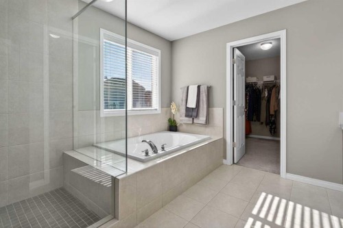 333 Viewpointe Terrace, Chestermere, AB - Indoor Photo Showing Bathroom