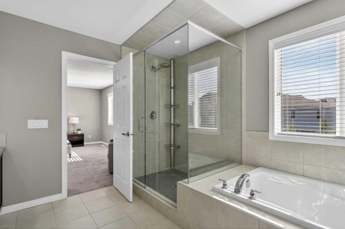 333 Viewpointe Terrace, Chestermere, AB - Indoor Photo Showing Bathroom