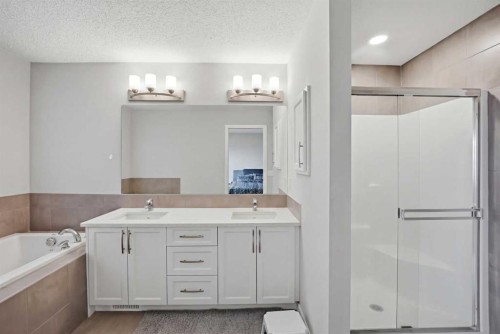 186 Carringvue Park Nw, Calgary, AB - Indoor Photo Showing Bathroom