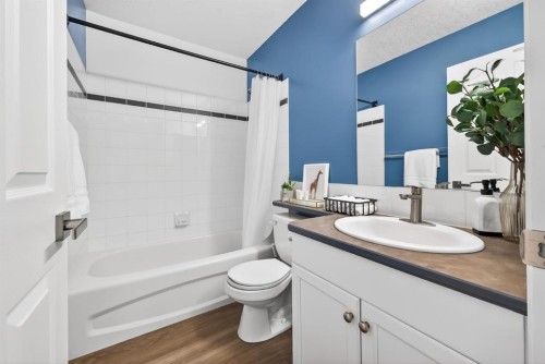 44 Bow Ridge Drive, Cochrane, AB - Indoor Photo Showing Bathroom