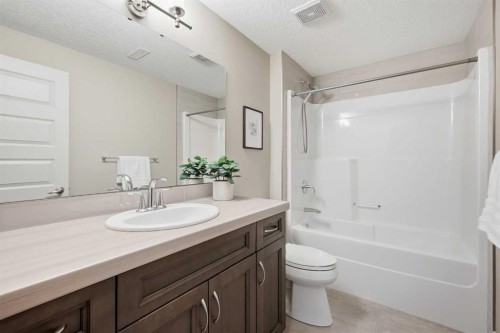 86 Panton View Nw, Calgary, AB - Indoor Photo Showing Bathroom