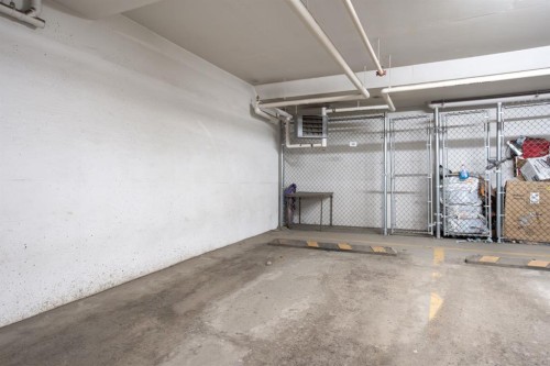 7309-302 Skyview Ranch Drive Ne, Calgary, AB - Indoor Photo Showing Garage