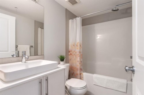 7309-302 Skyview Ranch Drive Ne, Calgary, AB - Indoor Photo Showing Bathroom