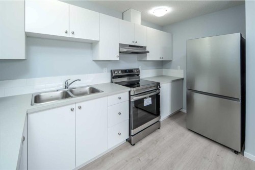 47 Bermuda Way Nw, Calgary, AB - Indoor Photo Showing Kitchen With Double Sink