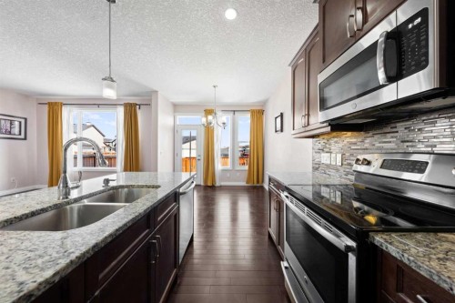 529 Saddlelake Drive Ne, Calgary, AB - Indoor Photo Showing Kitchen With Double Sink With Upgraded Kitchen