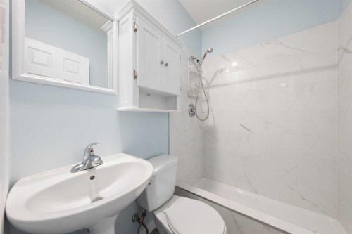 529 Saddlelake Drive Ne, Calgary, AB - Indoor Photo Showing Bathroom