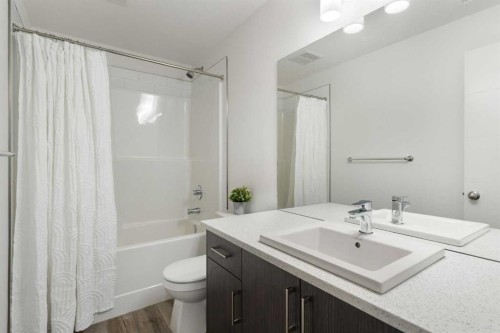 132 Spring Creek Common Sw, Calgary, AB - Indoor Photo Showing Bathroom
