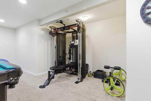 18 Royal Crest Way Nw, Calgary, AB - Indoor Photo Showing Gym Room