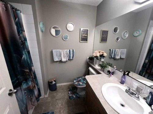 138 Saddlebrook Point Ne, Calgary, AB - Indoor Photo Showing Bathroom