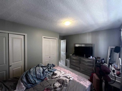 138 Saddlebrook Point Ne, Calgary, AB - Indoor Photo Showing Bedroom