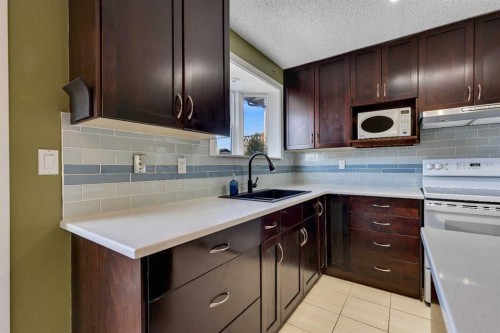 4811 60 Street Ne, Calgary, AB - Indoor Photo Showing Kitchen