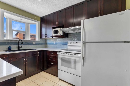 4811 60 Street Ne, Calgary, AB - Indoor Photo Showing Kitchen