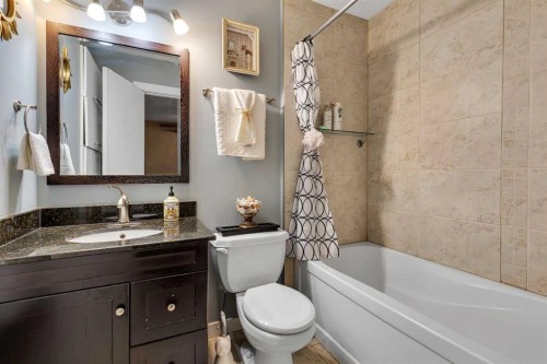 4811 60 Street Ne, Calgary, AB - Indoor Photo Showing Bathroom