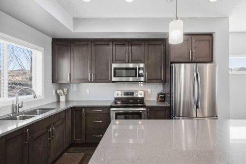 571 Mahogany Boulevard Se, Calgary, AB - Indoor Photo Showing Kitchen With Stainless Steel Kitchen With Double Sink
