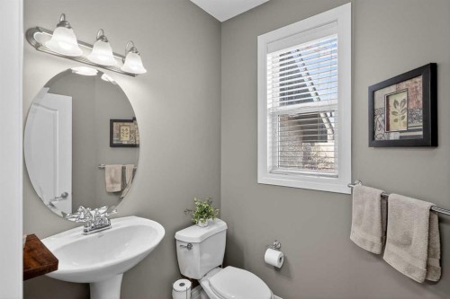 385 Rainbow Falls Way, Chestermere, AB - Indoor Photo Showing Bathroom