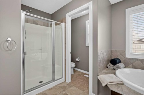 385 Rainbow Falls Way, Chestermere, AB - Indoor Photo Showing Bathroom