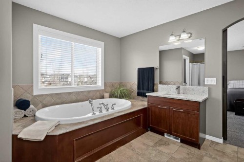385 Rainbow Falls Way, Chestermere, AB - Indoor Photo Showing Bathroom