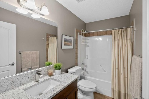 385 Rainbow Falls Way, Chestermere, AB - Indoor Photo Showing Bathroom