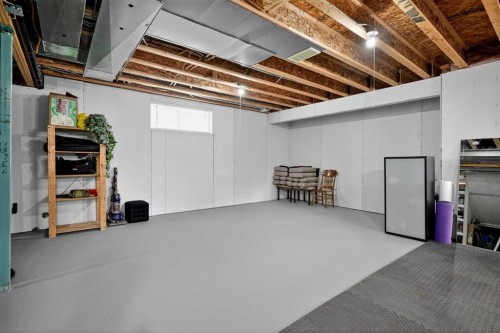 385 Rainbow Falls Way, Chestermere, AB - Indoor Photo Showing Basement