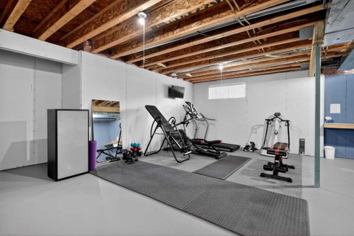 385 Rainbow Falls Way, Chestermere, AB - Indoor Photo Showing Basement