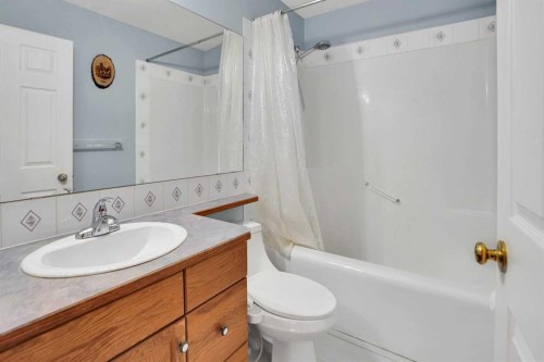 193 Martindale Drive Ne, Calgary, AB - Indoor Photo Showing Bathroom