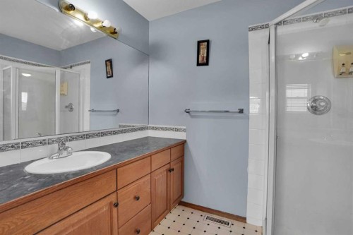193 Martindale Drive Ne, Calgary, AB - Indoor Photo Showing Bathroom