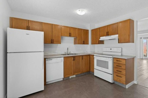 35 Martinview Crescent Ne, Calgary, AB - Indoor Photo Showing Kitchen With Double Sink