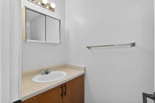 35 Martinview Crescent Ne, Calgary, AB - Indoor Photo Showing Bathroom