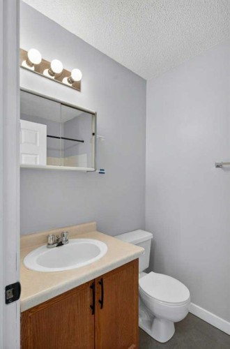 35 Martinview Crescent Ne, Calgary, AB - Indoor Photo Showing Bathroom
