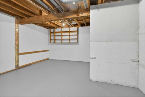 35 Martinview Crescent Ne, Calgary, AB - Indoor Photo Showing Basement
