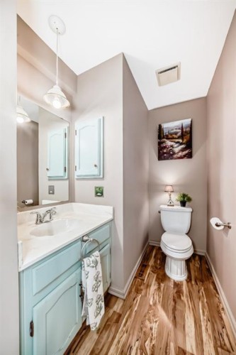 87 Berwick Crescent Nw, Calgary, AB - Indoor Photo Showing Bathroom