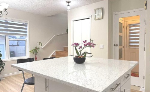86 Harvest Rose Circle Ne, Calgary, AB - Indoor Photo Showing Kitchen