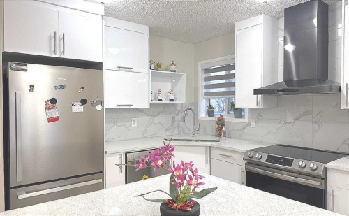 86 Harvest Rose Circle Ne, Calgary, AB - Indoor Photo Showing Kitchen