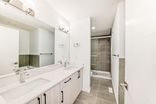 324 Cornerbrook Drive Ne, Calgary, AB - Indoor Photo Showing Bathroom