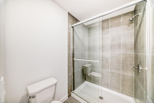 324 Cornerbrook Drive Ne, Calgary, AB - Indoor Photo Showing Bathroom